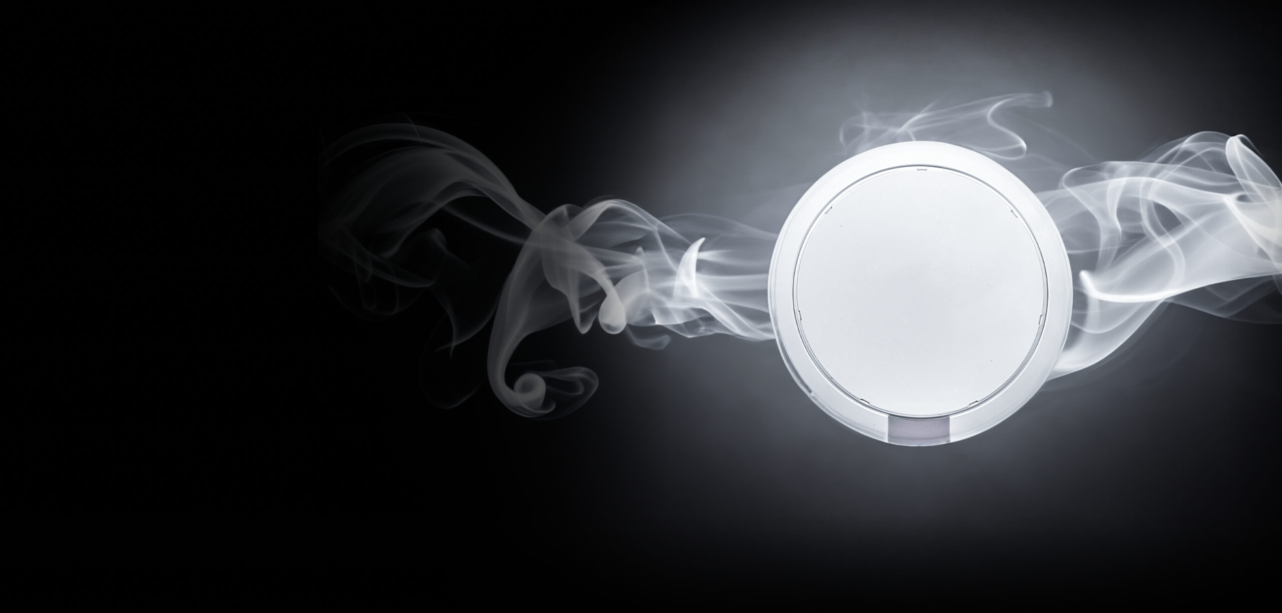 2-Way Wireless Smoke & Heat Detector